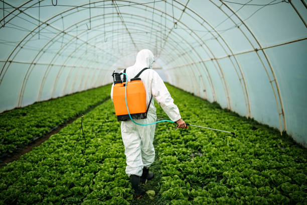 Best Best Pest Control Companies  in Lehi, UT