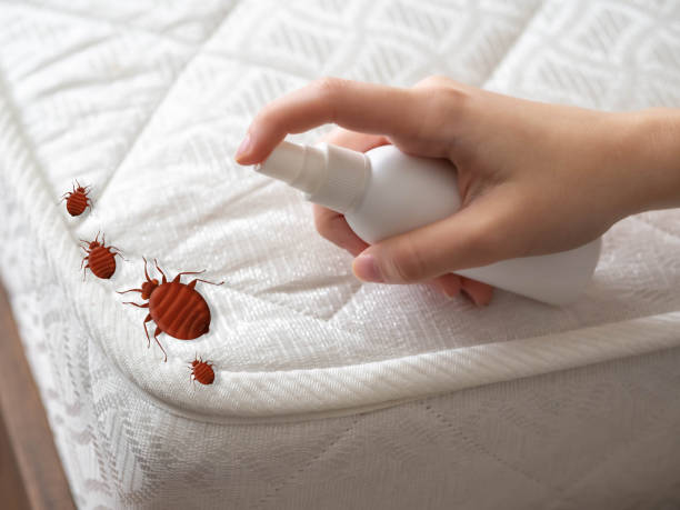 Best Cockroach Control Services  in Lehi, UT