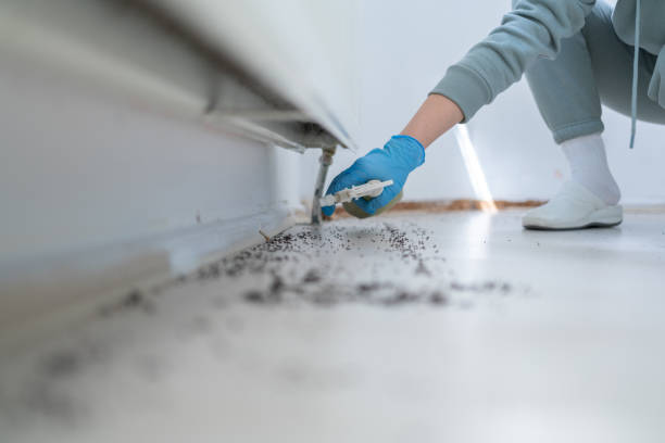 Best Cockroach Control Services  in Lehi, UT